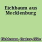 Eichbaum aus Mecklenburg