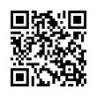 QR Code (код быстрого отклика)