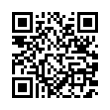 QR Code (код быстрого отклика)