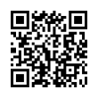 QR Code (код быстрого отклика)