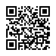 QR Code (код быстрого отклика)