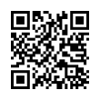 QR Code (код быстрого отклика)