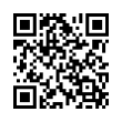 QR Code (код быстрого отклика)