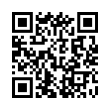 QR Code (код быстрого отклика)