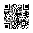 QR Code (код быстрого отклика)