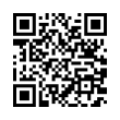 QR Code (код быстрого отклика)