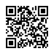 QR Code (код быстрого отклика)