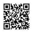 QR Code (код быстрого отклика)