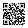 QR Code (код быстрого отклика)
