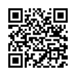 QR Code (код быстрого отклика)