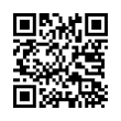 QR Code (код быстрого отклика)