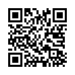 QR Code (код быстрого отклика)