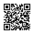 QR Code (код быстрого отклика)