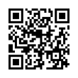 QR Code (код быстрого отклика)
