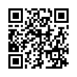 QR Code (код быстрого отклика)