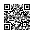 QR Code (код быстрого отклика)