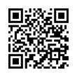 QR Code (код быстрого отклика)