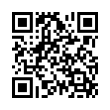 QR Code (код быстрого отклика)