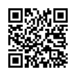 QR Code (код быстрого отклика)