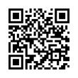 QR Code (код быстрого отклика)