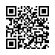 QR Code (код быстрого отклика)