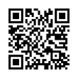 QR Code (код быстрого отклика)