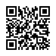 QR Code (код быстрого отклика)