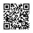 QR Code (код быстрого отклика)