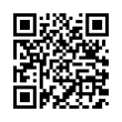 QR Code (код быстрого отклика)