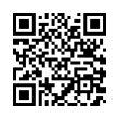 QR Code (код быстрого отклика)