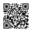 QR Code (код быстрого отклика)