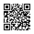 QR Code (код быстрого отклика)