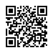 QR Code (код быстрого отклика)