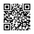 QR Code (код быстрого отклика)