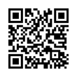 QR Code (код быстрого отклика)