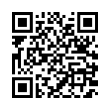 QR Code (код быстрого отклика)