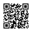 QR Code (код быстрого отклика)