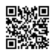 QR Code (код быстрого отклика)