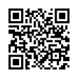 QR Code (код быстрого отклика)