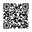 QR Code (код быстрого отклика)