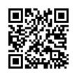 QR Code (код быстрого отклика)