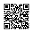 QR Code (код быстрого отклика)