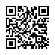 QR Code (код быстрого отклика)