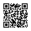 QR Code (код быстрого отклика)