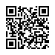 QR Code (код быстрого отклика)