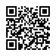 QR Code (код быстрого отклика)