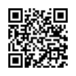 QR Code (код быстрого отклика)